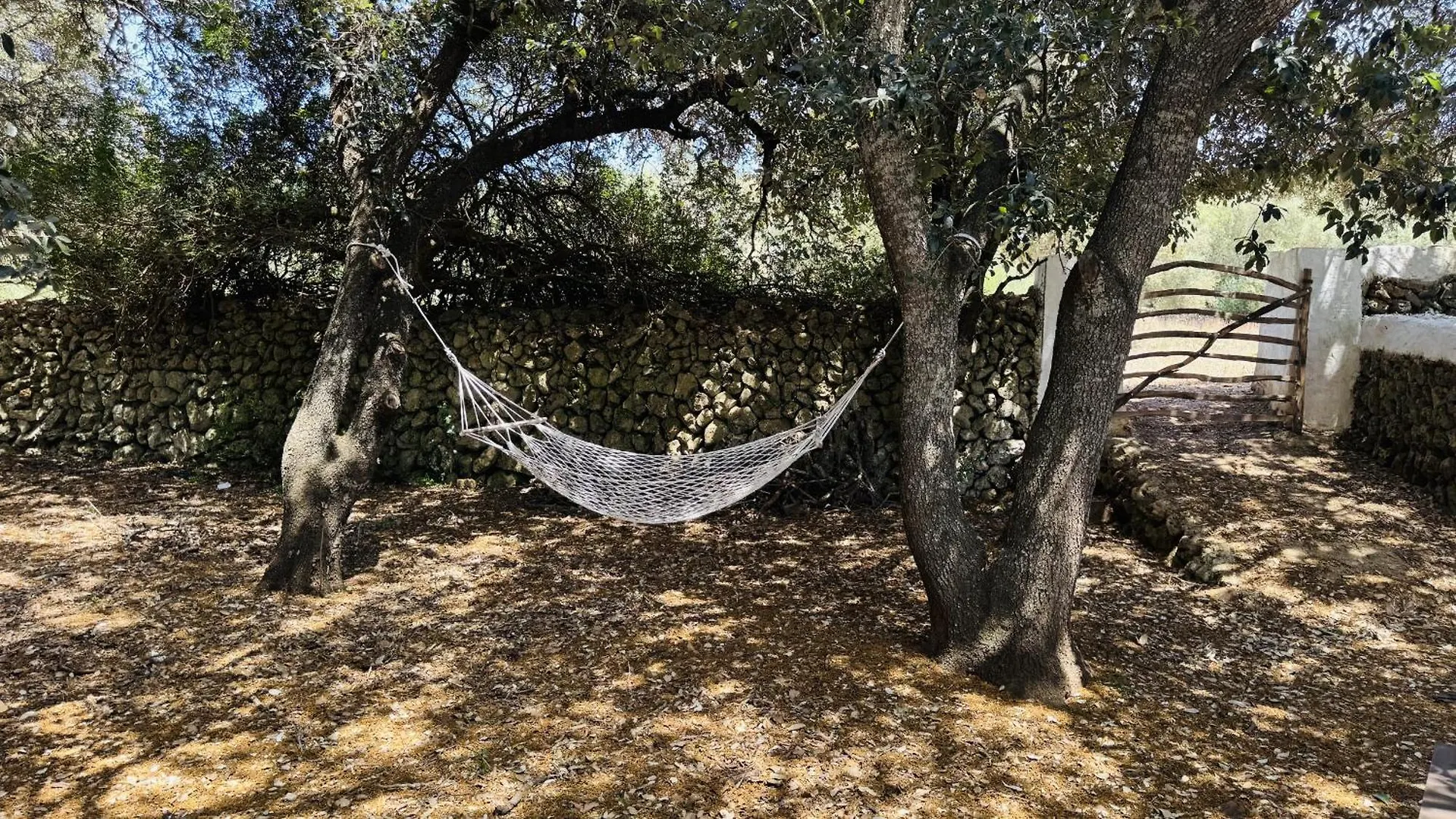 Finca Toni Alaior 0*,